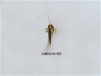 藏品(雙帶長苔蛾)的圖片